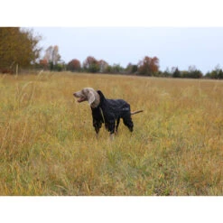 RukkaPets Protect Overall Zwart -Hondenbenodigdheden rukkapets protect overall zwart 216401 2000 none