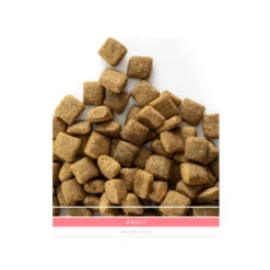 SANIMED Adult Dog 16 SANIMED Adult Dog -Hondenbenodigdheden sanimed adult dog 159188 1500 none