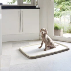 Savic Puppy Trainer + Pads -Hondenbenodigdheden savic puppy trainer pads 163498 2000 none