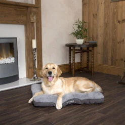 Boneguard Rawhide Bones 31 Boneguard Rawhide Bones -Hondenbenodigdheden scruffs cosy mattress 209366 1500 none