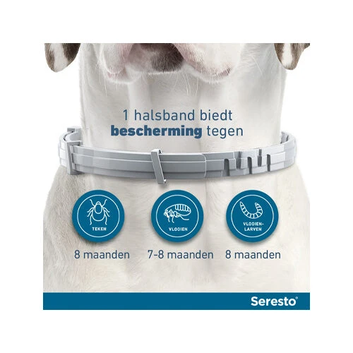 Seresto Hond 16 Seresto Hond - Afbeelding 14