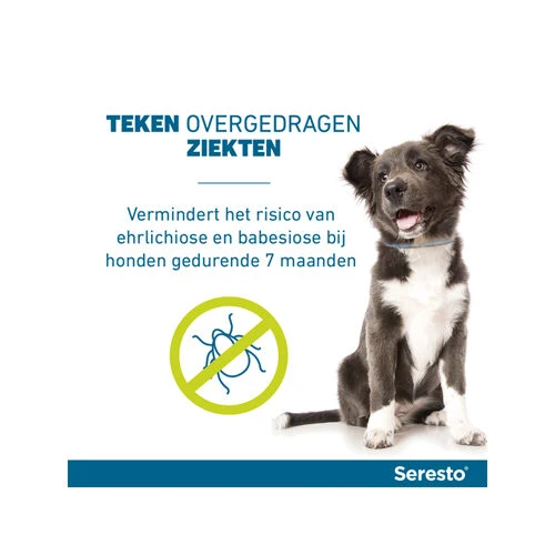 Seresto Hond 14 Seresto Hond - Afbeelding 12