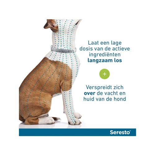 Seresto Hond 19 Seresto Hond - Afbeelding 17