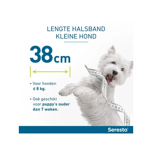 Seresto Hond 17 Seresto Hond - Afbeelding 15