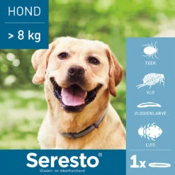 Seresto Hond 31 Seresto Hond -Hondenbenodigdheden seresto hond 180928 1000 none