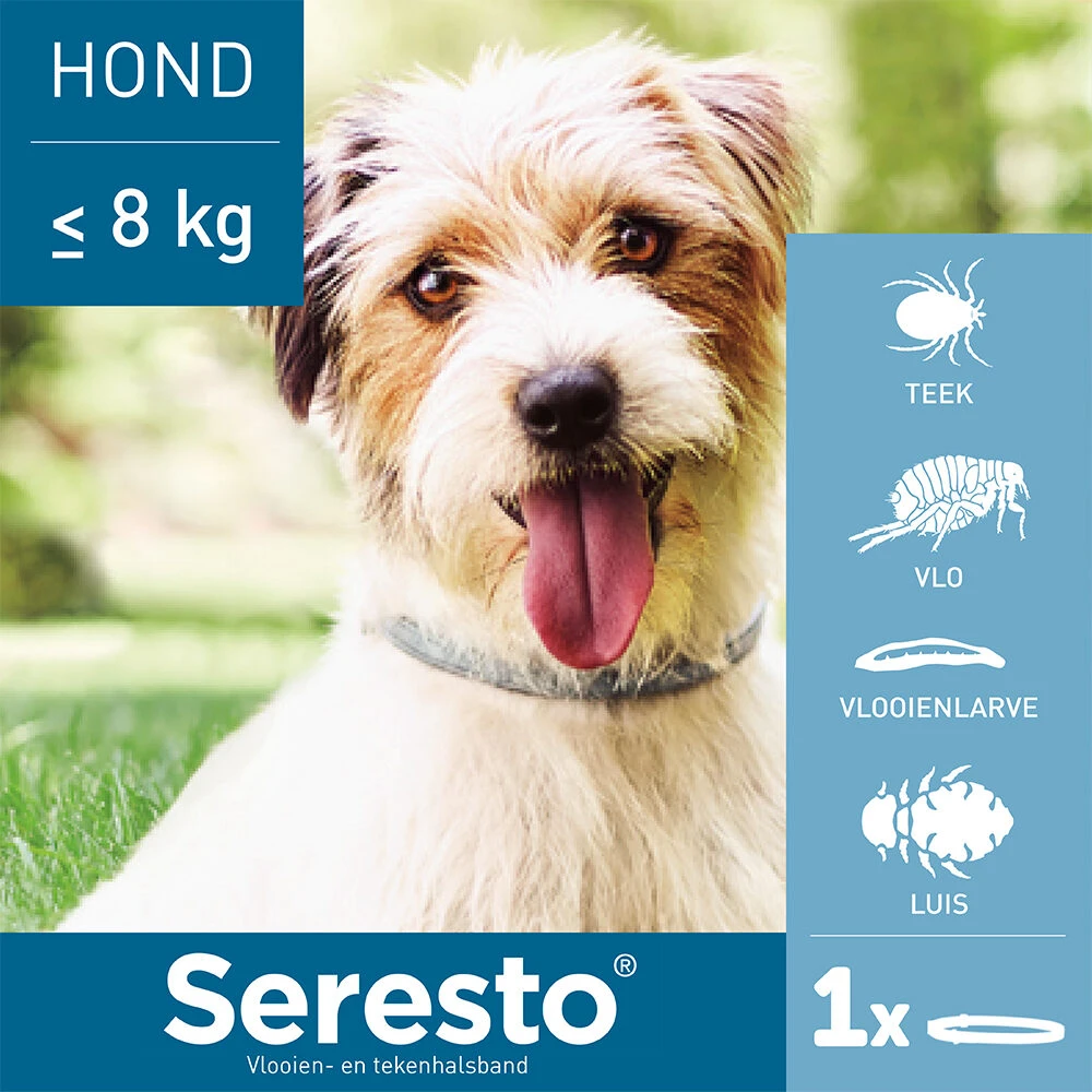 Seresto Hond 13 Seresto Hond - Afbeelding 11