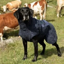 Siccaro WetDog SupremePro 2.0 32 Siccaro WetDog SupremePro 2.0 -Hondenbenodigdheden siccaro wetdog supremepro 190159 1000 none