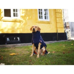 Siccaro WetDog SupremePro 2.0 35 Siccaro WetDog SupremePro 2.0 -Hondenbenodigdheden siccaro wetdog supremepro 20 216994 2000 none