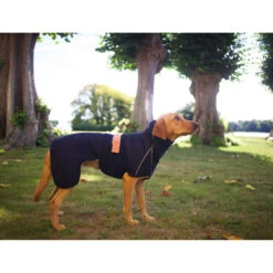 Siccaro WetDog SupremePro 2.0 33 Siccaro WetDog SupremePro 2.0 -Hondenbenodigdheden siccaro wetdog supremepro 20 216995 2000 none