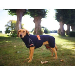 Siccaro WetDog SupremePro 2.0 31 Siccaro WetDog SupremePro 2.0 -Hondenbenodigdheden siccaro wetdog supremepro 20 216996 2000 none