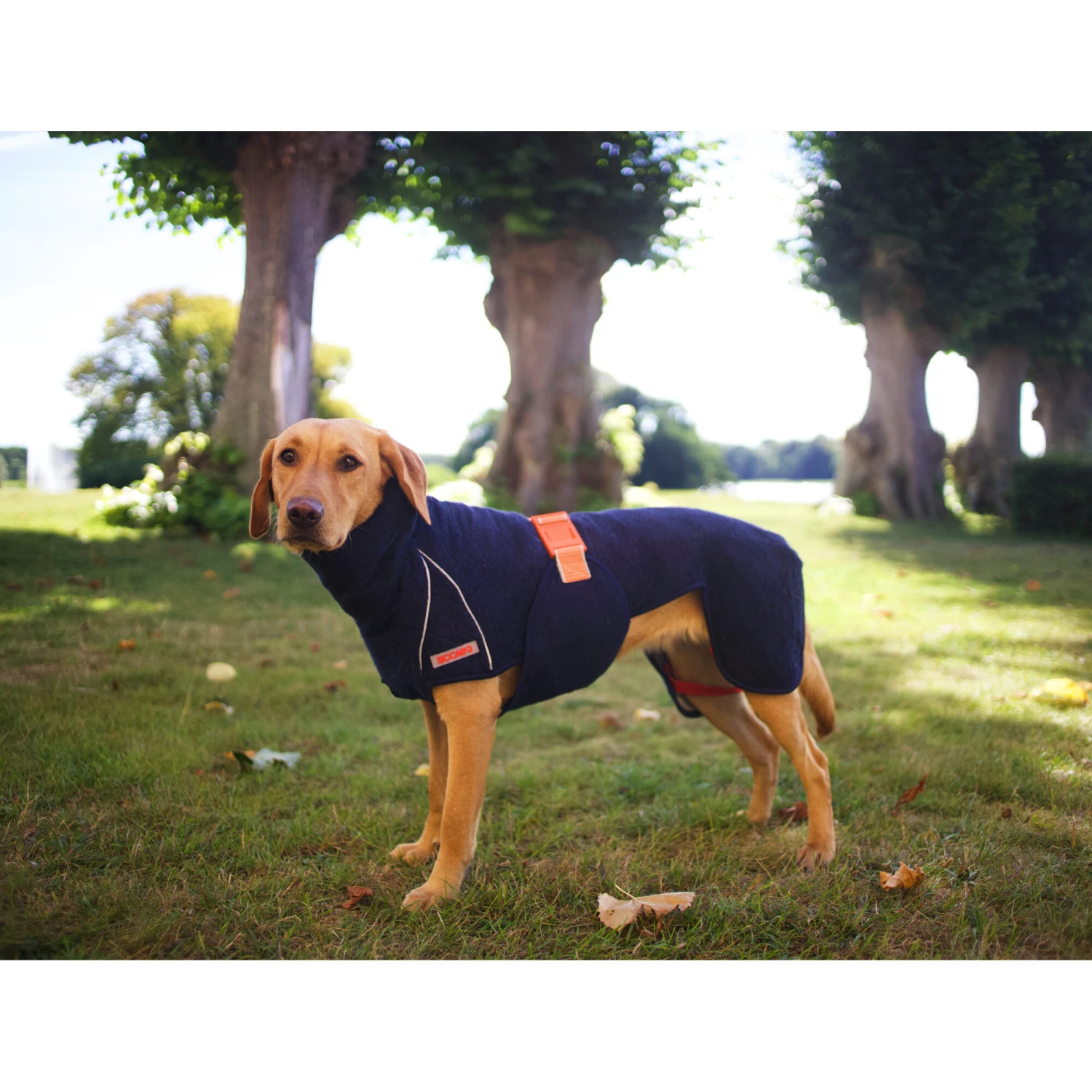 Siccaro WetDog SupremePro 2.0 12 Siccaro WetDog SupremePro 2.0 - Afbeelding 10