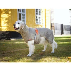 Siccaro WetDog SupremePro 2.0 38 Siccaro WetDog SupremePro 2.0 -Hondenbenodigdheden siccaro wetdog supremepro 20 216997 2000 none