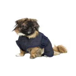 Siccaro WetDog SupremePro 2.0 26 Siccaro WetDog SupremePro 2.0 -Hondenbenodigdheden siccaro wetdog supremepro blue granite s 116412 0500 none