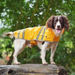 Sötnos Hondenregenjas -Hondenbenodigdheden stnos hondenregenjas 130475 0500 none