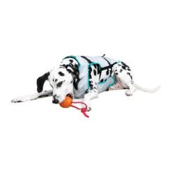 Suitical DRY Cooling Vest -Hondenbenodigdheden suitical dry cooling vest 149882 2000 none