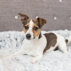 Trixie Bekleding-Beschermdeken Harvey 11 Trixie Bekleding-Beschermdeken Harvey -Hondenbenodigdheden trixie bekleding beschermdeken harvey 206315 2000 none