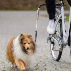 Trixie Fiets-Set -Hondenbenodigdheden trixie fiets set 178264 1000 none