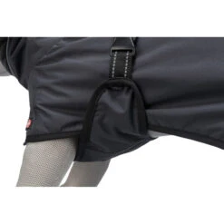 Trixie Hondenjas Calvi 26 Trixie Hondenjas Calvi -Hondenbenodigdheden trixie hondenjas calvi 207455 1000 none