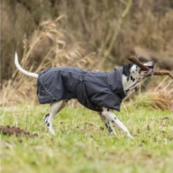 Trixie Hondenjas Calvi 29 Trixie Hondenjas Calvi -Hondenbenodigdheden trixie hondenjas calvi 207467 1000 none