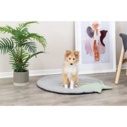 Trixie Junior Ligmat Met Ster -Hondenbenodigdheden trixie junior ligmat met ster 221225 0500 none