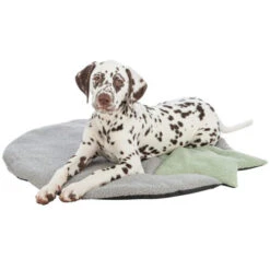 Trixie Junior Ligmat Met Ster -Hondenbenodigdheden trixie junior ligmat met ster 221226 0500 none