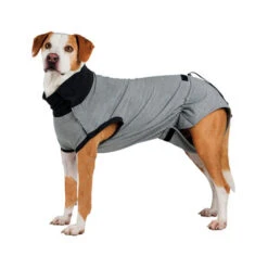 Trixie Operatie Hondenjas -Hondenbenodigdheden trixie operatie hondenjas 95186 0500 none