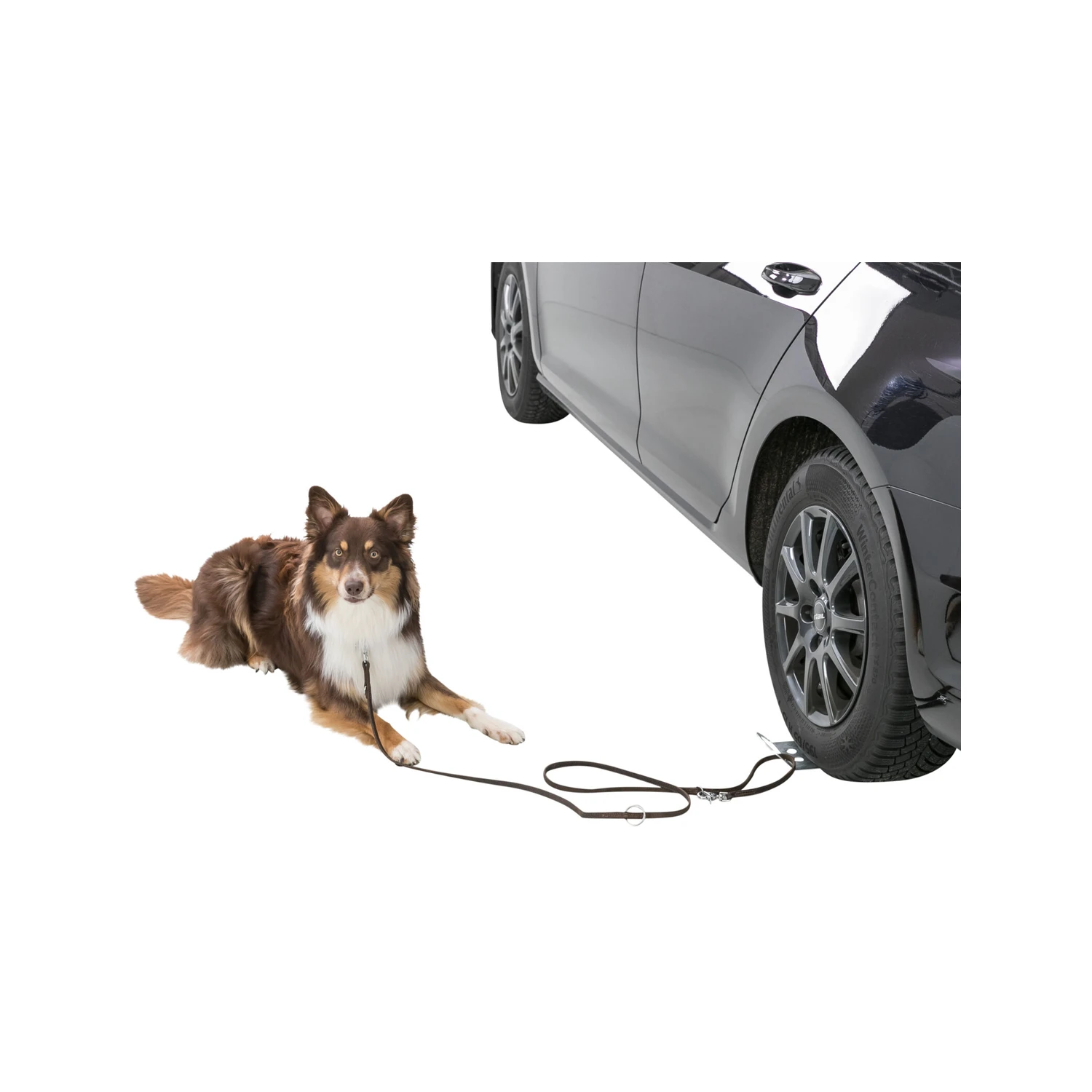 Trixie Oprijplaat Auto 4 Trixie Oprijplaat Auto - Afbeelding 2