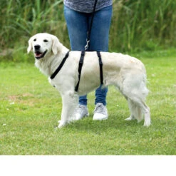 Trixie Stay Hondentuig -Hondenbenodigdheden trixie stay hondentuig 95231 0500 none