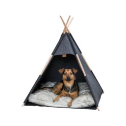 Trixie Tipi -Hondenbenodigdheden trixie tipi 205724 2000 none