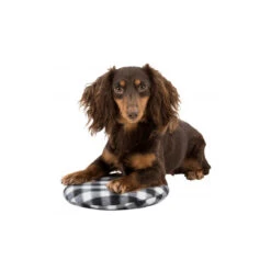 Trixie Warmtekussen 8 Trixie Warmtekussen -Hondenbenodigdheden trixie warmtekussen 145868 1000 none