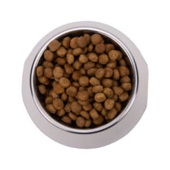 Vetality Metabolic & Mobility - Hondenvoer 18 Vetality Metabolic & Mobility - Hondenvoer -Hondenbenodigdheden vetality metabolic mobility hondenvoer 182062 2000 none