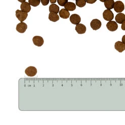 Vetality Metabolic & Mobility - Hondenvoer 19 Vetality Metabolic & Mobility - Hondenvoer -Hondenbenodigdheden vetality metabolic mobility hondenvoer 182353 2000 none