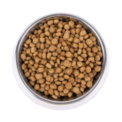 Vetality Metabolic & Mobility - Hondenvoer 20 Vetality Metabolic & Mobility - Hondenvoer -Hondenbenodigdheden vetality metabolic mobility hondenvoer 195275 1000 none