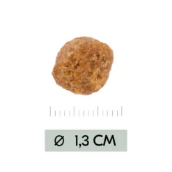 Vetality Metabolic & Mobility - Hondenvoer 17 Vetality Metabolic & Mobility - Hondenvoer -Hondenbenodigdheden vetality metabolic mobility hondenvoer 195470 1000 none