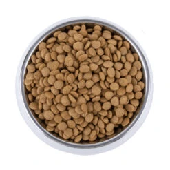 Vetality Skin Support - Hondenvoer -Hondenbenodigdheden vetality skin support hondenvoer 195221 1000 none