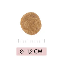 Vetality Skin Support - Hondenvoer -Hondenbenodigdheden vetality skin support hondenvoer 195452 1000 none