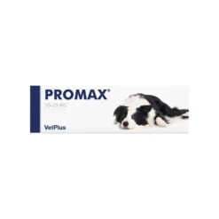 Vetplus Promax 21 Vetplus Promax -Hondenbenodigdheden vetplus promax 217333 1000 none