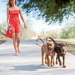 Wigzi Dual Doggie 2.0 10 Wigzi Dual Doggie 2.0 -Hondenbenodigdheden wigzi dual doggie 20 167836 1500 none