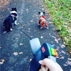 Wigzie Dual Doggie 3.0 7 Wigzie Dual Doggie 3.0 -Hondenbenodigdheden wigzi dual doggie 30 167845 0500 none