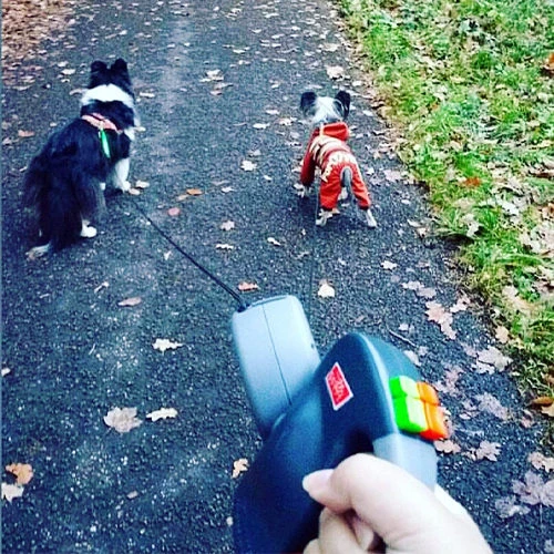 Wigzie Dual Doggie 3.0 5 Wigzie Dual Doggie 3.0 - Afbeelding 3