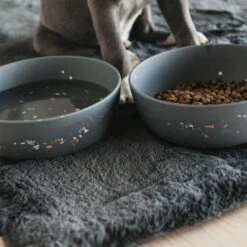 Kentucky Bamboe Voer- Drinkbak Terrazzo -Hondenbenodigdheden y0cBS3o7O1YSWxKTGXWH5QOnbXKf3B metaS2VudHVja3ktQmFtYm9lLUJhay1UZXJyYXp6by1Hcmlqcy0zLmpwZw