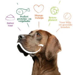 Yarrah - Droogvoer Hond Sensitive Bio 12 Yarrah - Droogvoer Hond Sensitive Bio -Hondenbenodigdheden yarrah droogvoer hond sensitive bio 199148 1000 none