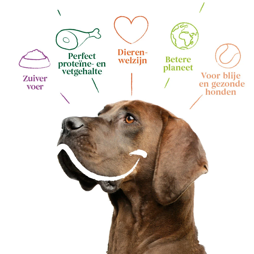 Yarrah - Droogvoer Hond Sensitive Bio 6 Yarrah - Droogvoer Hond Sensitive Bio - Afbeelding 4