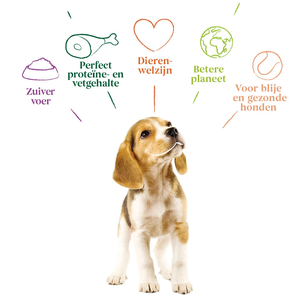 Yarrah - Droogvoer Puppy Bio 6 Yarrah - Droogvoer Puppy Bio - Afbeelding 4