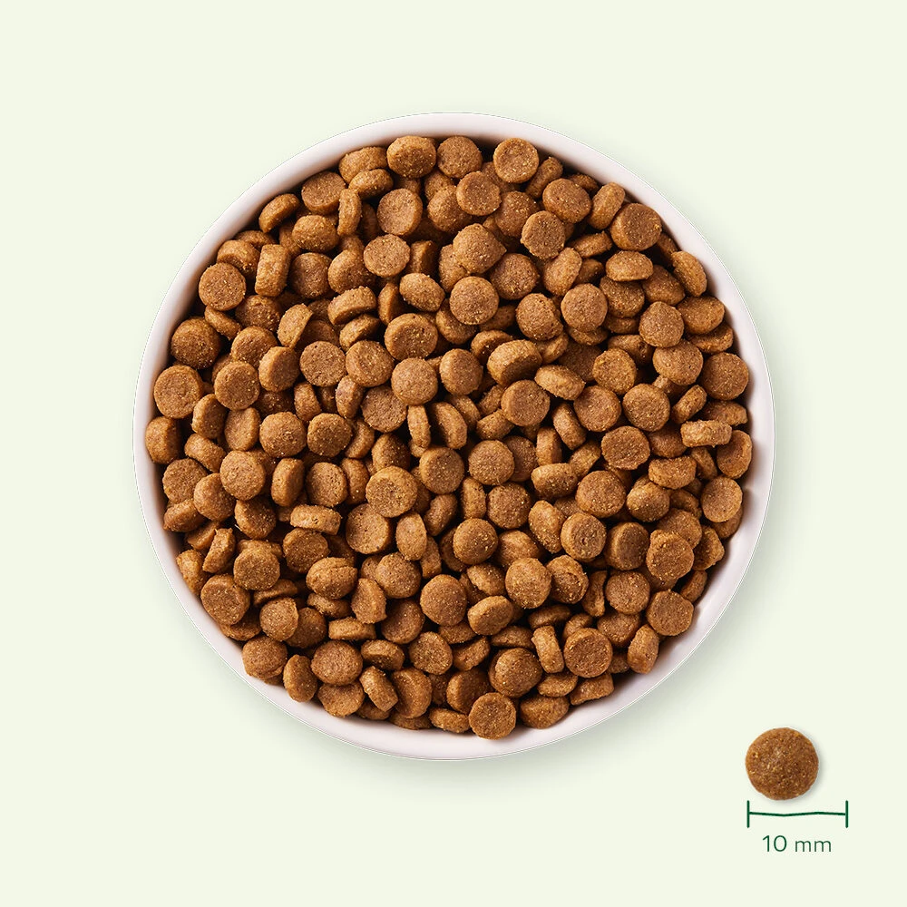 Yarrah - Droogvoer Puppy Bio 9 Yarrah - Droogvoer Puppy Bio - Afbeelding 7