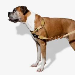 Zee.Dog Soft Walk Harness -Hondenbenodigdheden zeedog soft walk harness 200678 1000 none