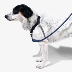 Zee.Dog Soft Walk Harness -Hondenbenodigdheden zeedog soft walk harness 200684 1000 none