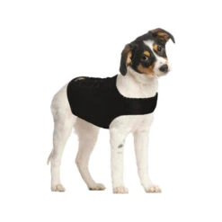 ZenDog Compression Shirt 24 ZenDog Compression Shirt -Hondenbenodigdheden zendog compression shirt 173056 0500 none