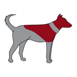 ZenPet Pro Collar -Hondenbenodigdheden zenpet pro collar 193865 0500 none