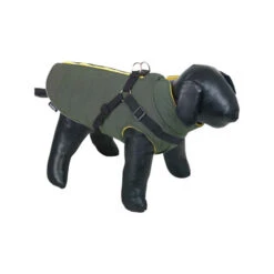 Nobby Hondenjas Sobak 21 Nobby Hondenjas Sobak -Hondenbenodigdheden zfANZ9X8QmVKtjtz2X3OCjSc3mM0kN metabm9iYnlfaG9uZGVuamFzX3NvYmFrXzIxNjkxOF8wNTAwX25vbmUuanBn